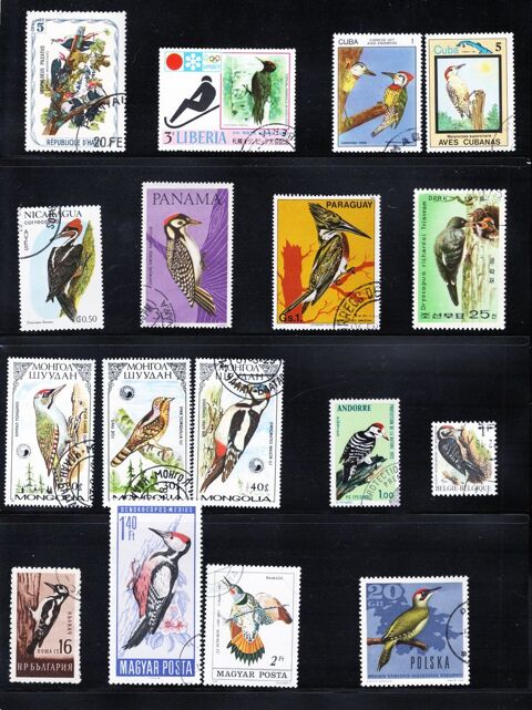 lot de 22 timbres du MONDE avec des PICIDAES (PICS) 1 Les �glisottes-et-Chalaures (33)