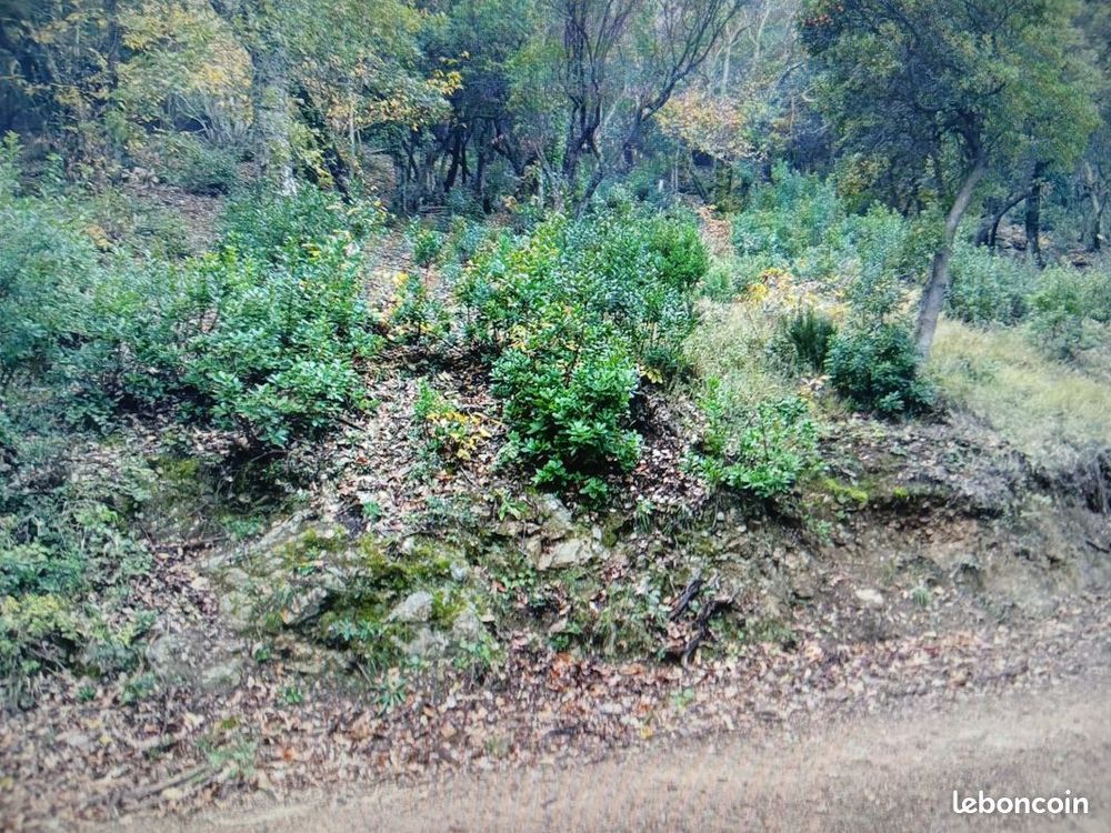 Vente Terrain Foret dans le Var a Pignans pour 1euro le m2 Pignans