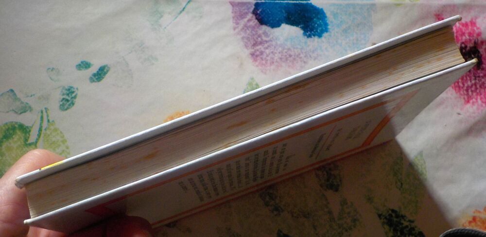 LA PETITE FILLE D'AILLEURS de H. VON GEBHARDT Coll SPIRALE Livres et BD