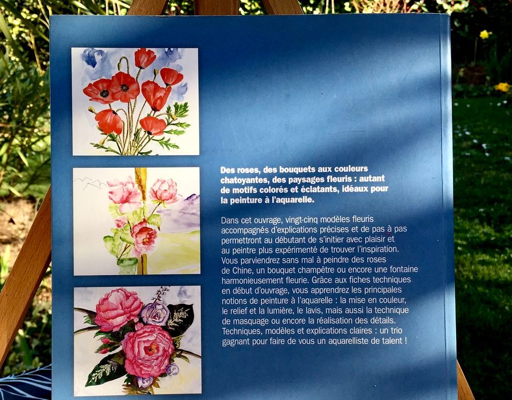 Fleurs &agrave; l'aquarelle ; Beau grand livre de techniques art Livres et BD