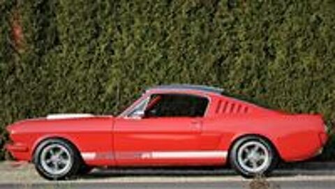 Mustang Fastback V8 5.0 GT 1965 occasion Knokke-Heist, Belgi&euml;