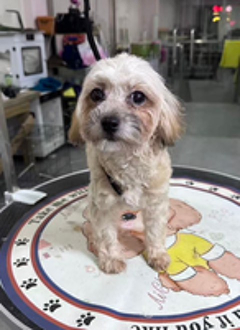   MONA SE TROUVE DANS UN REFUGE EN CHINE 