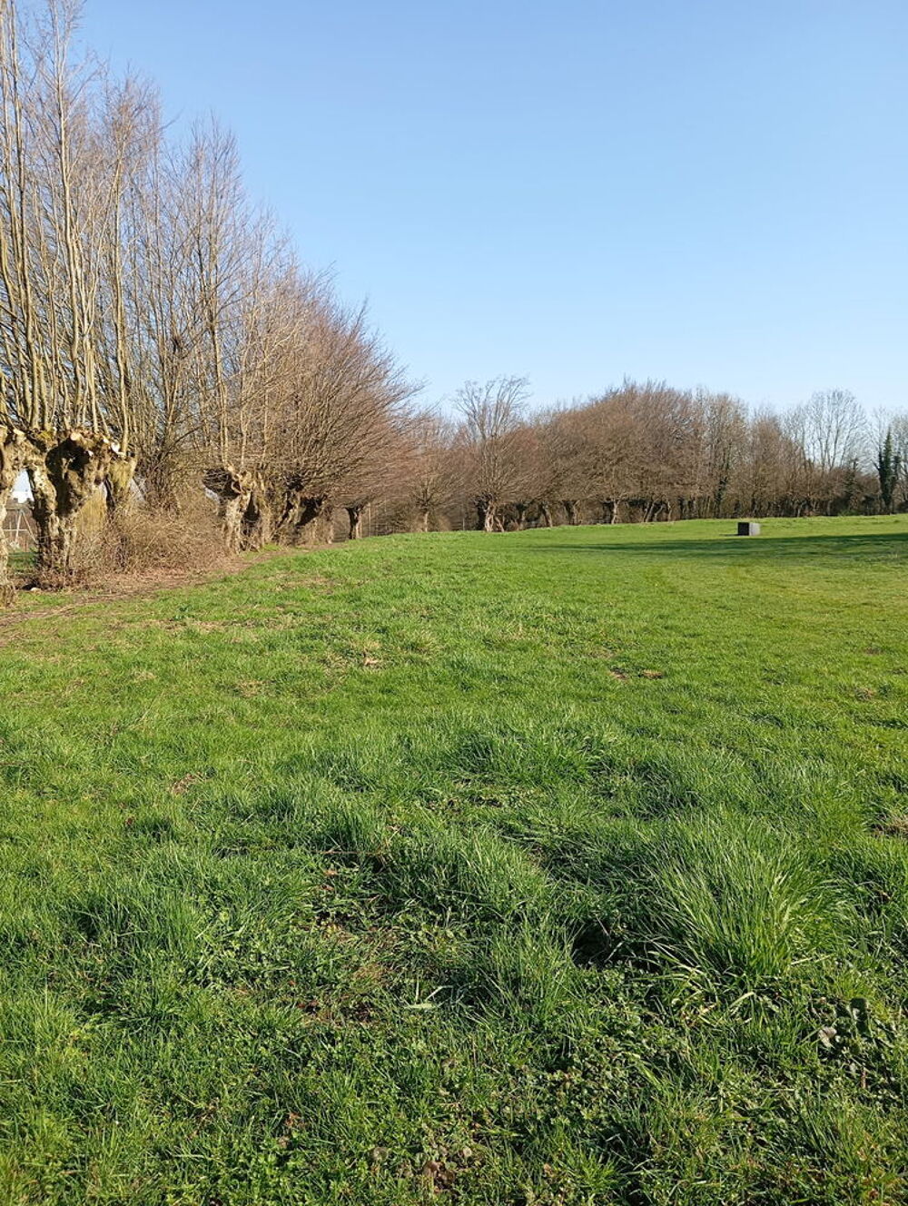 Vente Terrain Terrain à bâtir Bienvillers-au-bois