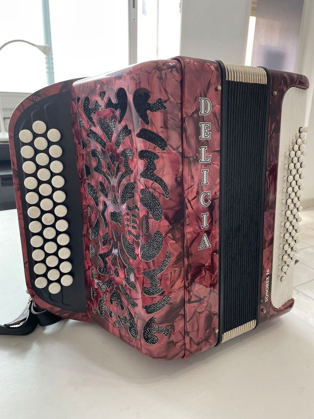 Accord&eacute;on chromatique 60 basses 3 rangs 6 kgs Instruments de musique