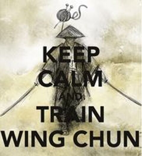   Cours particulier de Wing Chun Self Defense 20€/h 