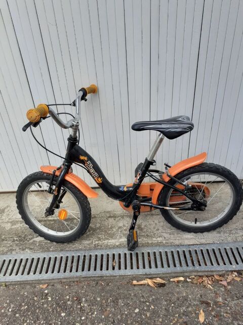 Vélo enfant Fleury-les-Aubrais (45)