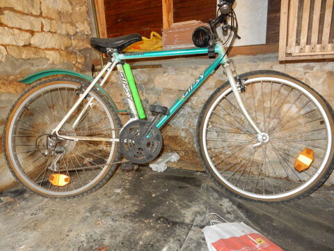 VTT Gipsy / GITANE 40 Taillant (17)