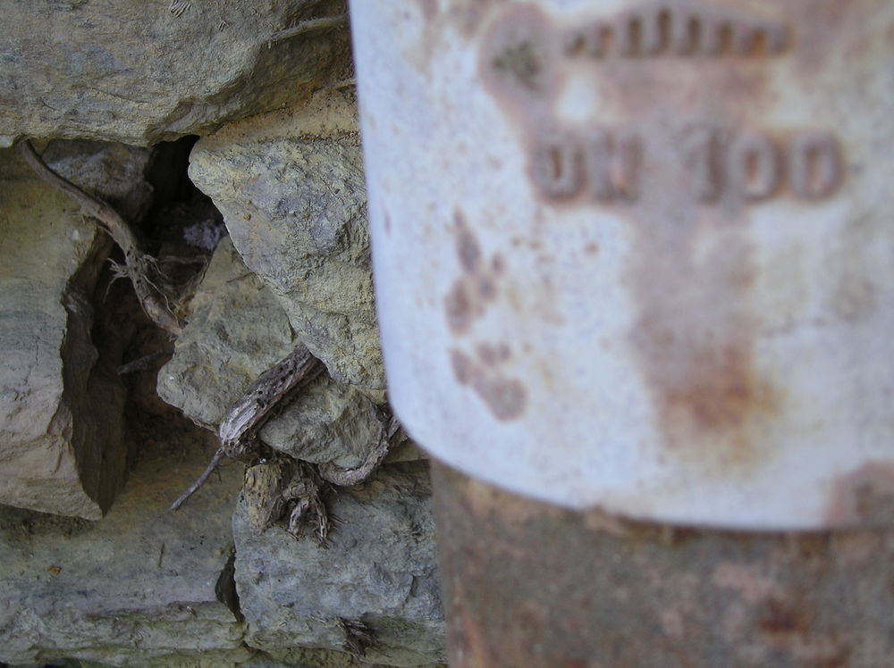 TUYAUX FONTE DAUPHIN COUDE Bricolage