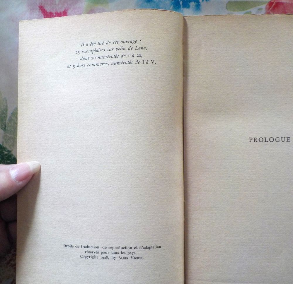 HAUTES TERRES de Elian-J. FINBERT Ed. Albin Michel 1948 Livres et BD