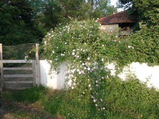  Ferme à vendre 3 pièces 90 m²