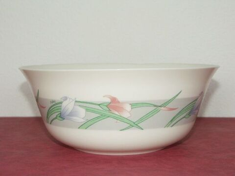 Saladier 24 Arcopal - Vintage 4 Mrignac (33)