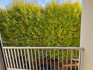  Appartement � louer 2 pi�ces 45 m�