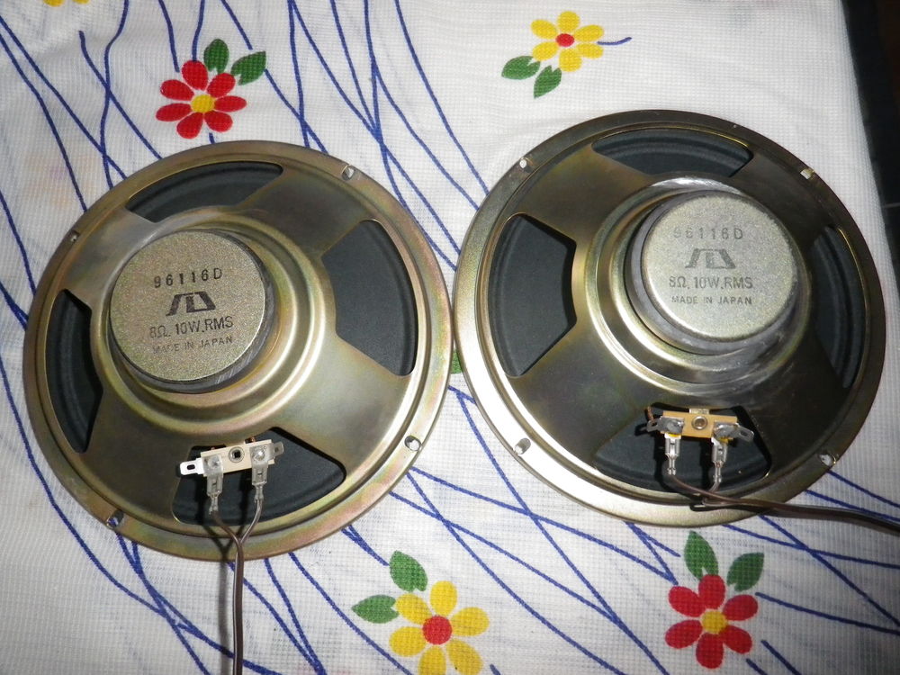 PAIRE DE H P BOUMER EN BICONE Audio et hifi
