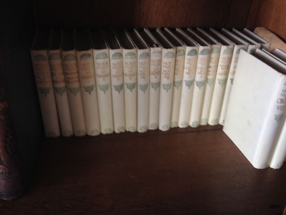 collection Victor Hugo Livres et BD