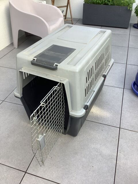 Cage de transport pour grand chien 70 29900 Concarneau