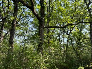  Terrain � vendre 125800 m�