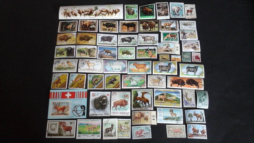 Timbres sur les animaux &agrave; cornes 