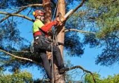 recherche emploi tous travaux dept 06 antibes et région 0 06160 Juan les pins