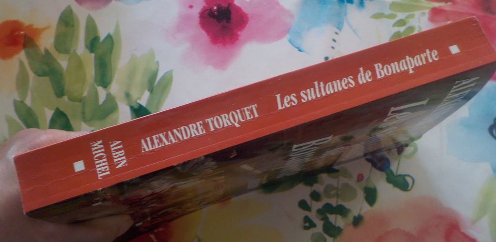 LES SULTANES DE BONAPARTE d'Alexandre TORQUET Albin Michel Livres et BD