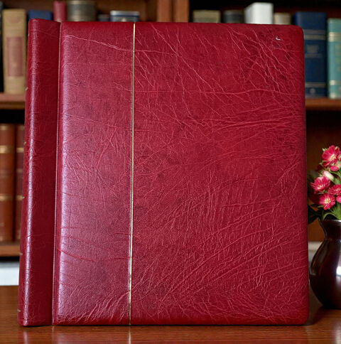 Gros album-classeur allemand pour timbres (vide) 35 Livernon (46)