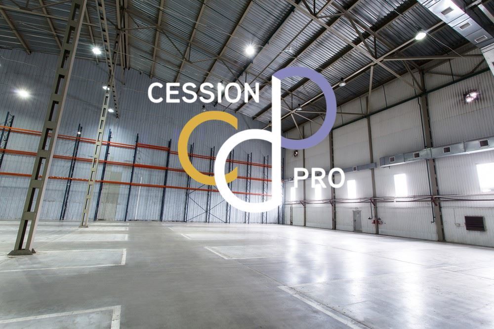   LOCAUX D'ACTIVITE - ENTREPOTS DE 880 M² (DONT 400 LOUES) SUR 4 500 M² DE TERRAIN A CEDER AU SUD DE N 