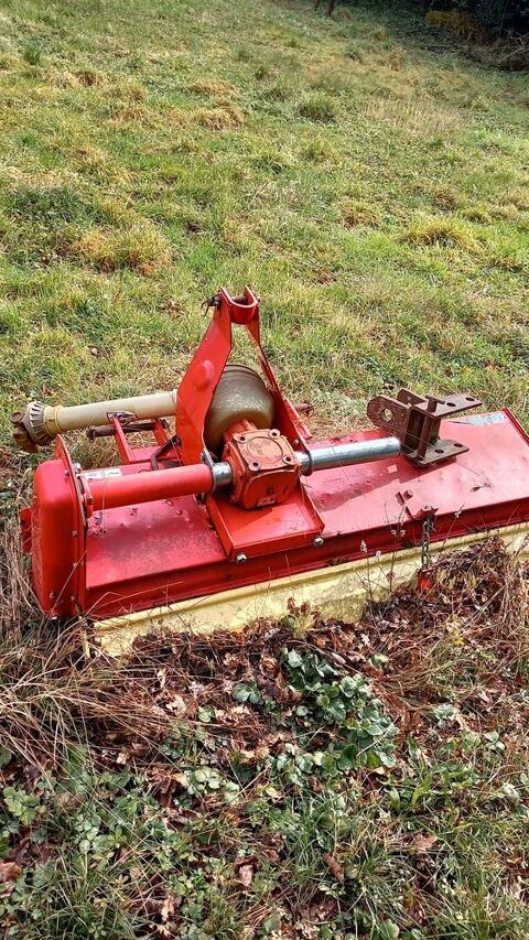 fraise pour jardin 1000 Viane (81)