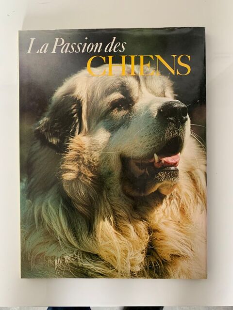 La passion des chiens. 12 Arcueil (94)