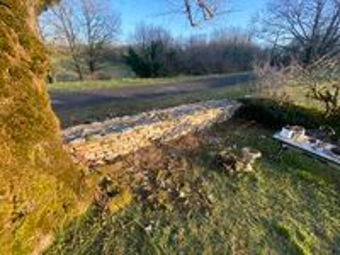   service de jardinnage et bricolage 