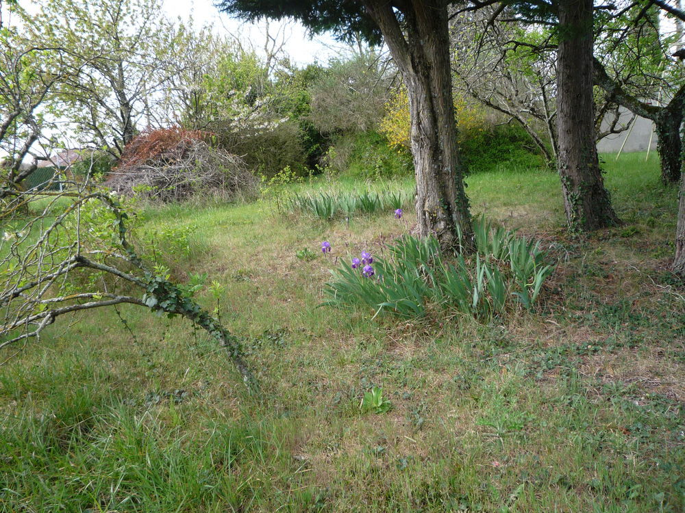 Location Terrain Terrain 5000 m² Castres