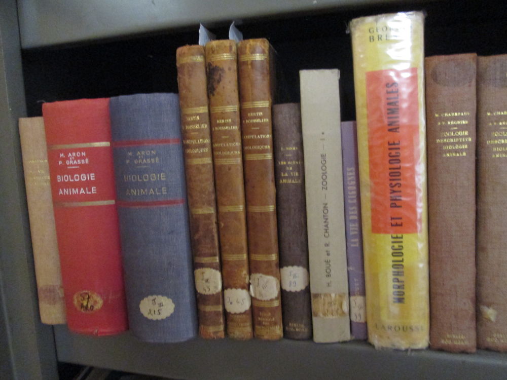 Livres anciens faune, animaux Livres et BD