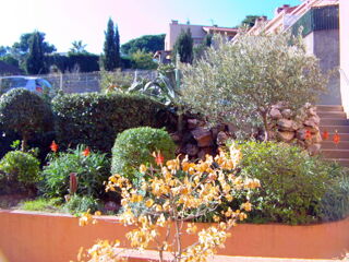 Location  Appartement 