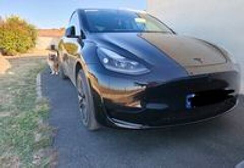 Model Y MODEL Y Standard RWD 2024 occasion 31670 Lab&egrave;ge
