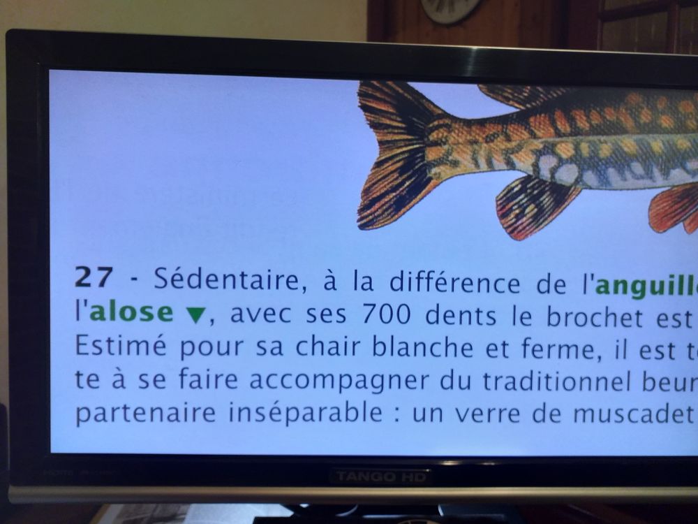 Loupe &eacute;lectronique couleur pour malvoyants Matériel informatique