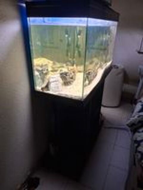   Aquarium avec meuble  