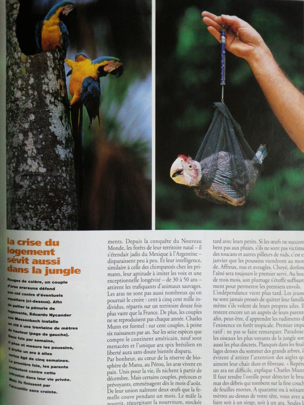 Terre sauvage N&deg;86 Sp&eacute;cial Pays Basque Livres et BD