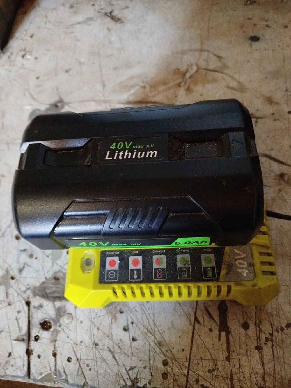 chargeur de batterie rioby Jardin