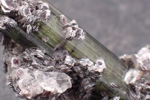 Tourmaline Elba�te , Verd�lite , L�pidolite , Minas Gerais , 25 Bertrichamps (54)