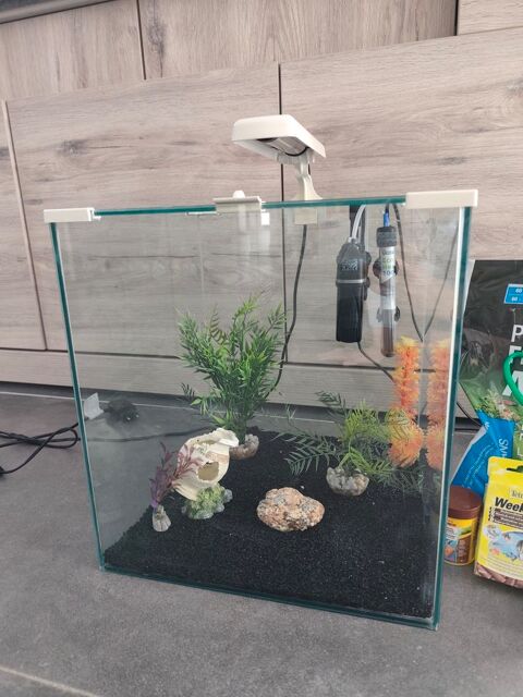 Aquarium complet 50 59530 Orsinval