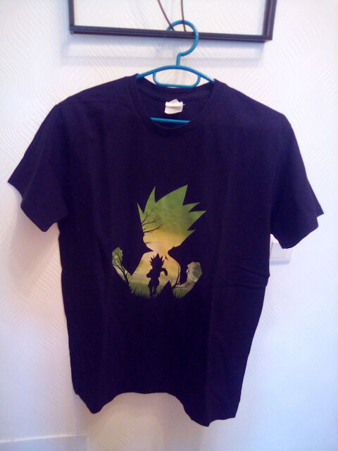 tee short 12 Mont-Saint-Aignan (76)