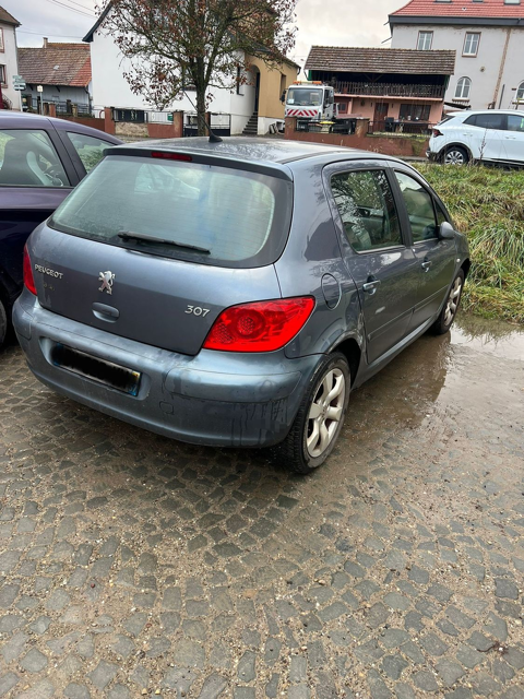 Peugeot 307 1.4e 16V Confort