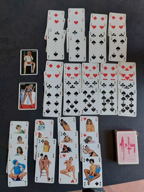 Jeu de cartes Aslan La Gaude (06)