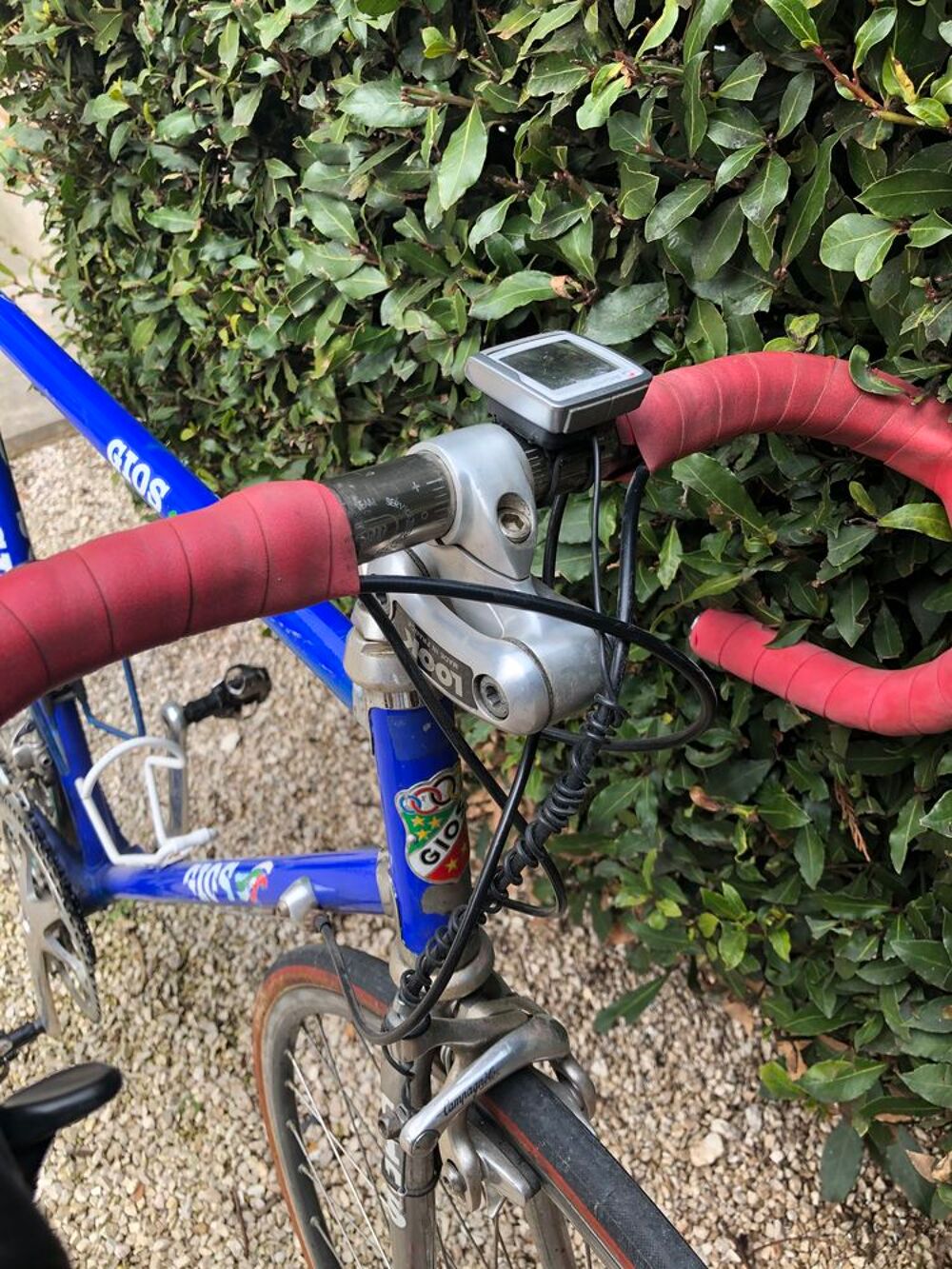 v&eacute;lo GIOS COMPACT mont&eacute; Campagnolo Record Vélos