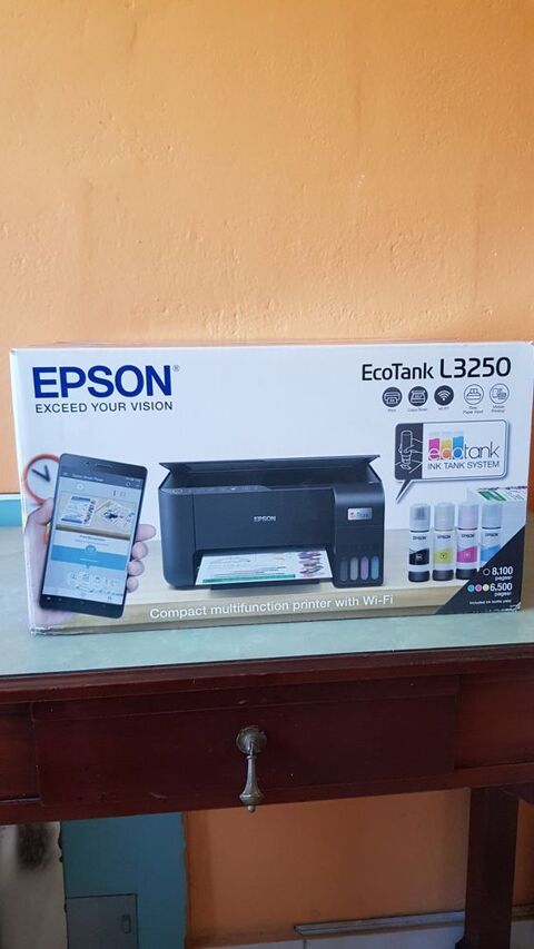 EPSON Imprimante ECOTANK L3250 195 Le Moule (97)