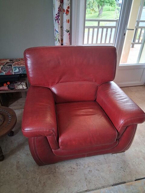 Fauteuil cuir 40 Rouffignac-Saint-Cernin-de-Reilhac (24)
