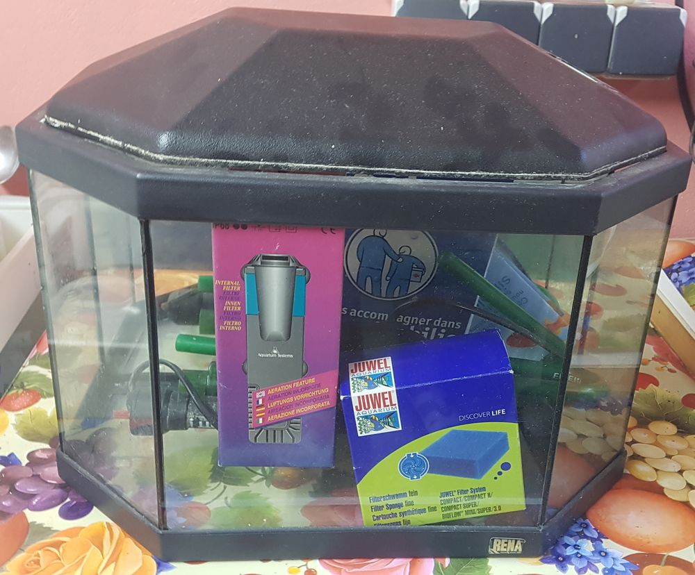 Aquarium Décoration