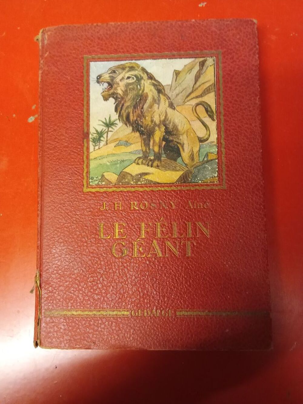 Collection de lions 