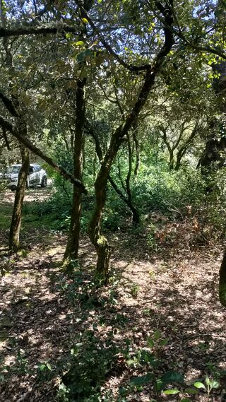  Terrain  vendre 980 m