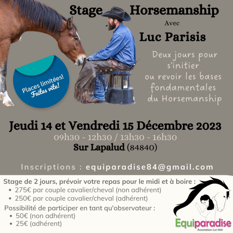 stage horsemanship avec Luc Parisis 84840 Lapalud