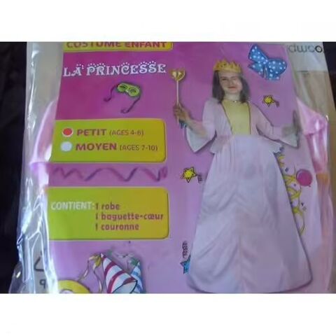 Costume Princesse 4/6 Ans
12 Saint-Zacharie (83)