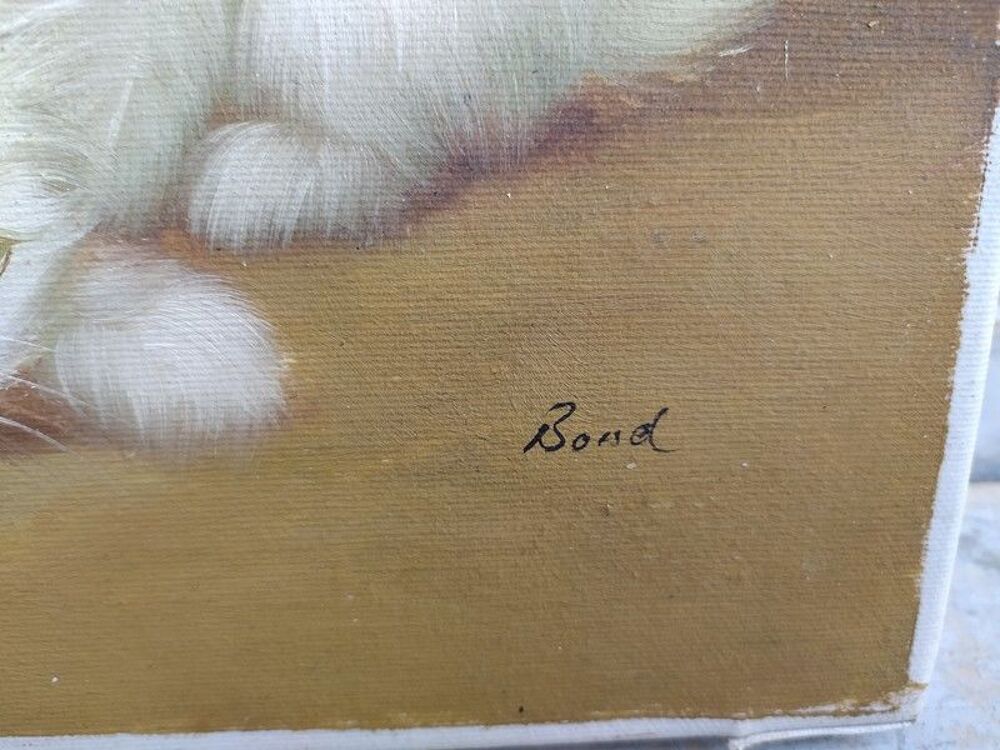 Tableau Petits Chats Chatons Blancs Sign&eacute; Bond 
Décoration